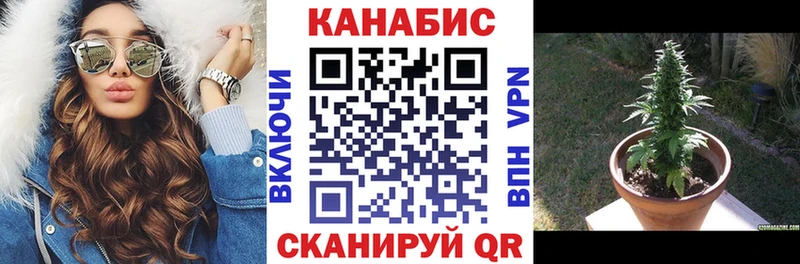 Бошки марихуана план Дудинка